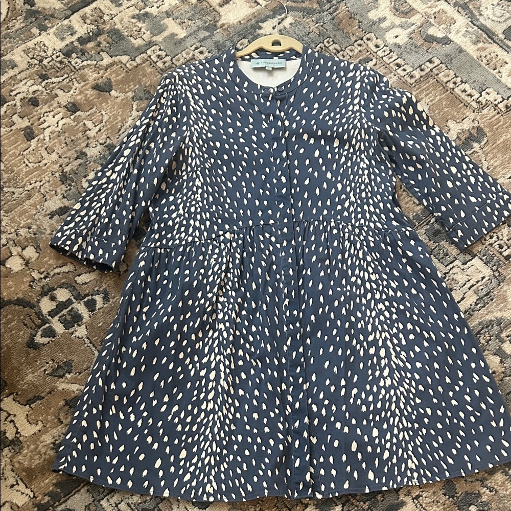 Tuckernuck dress